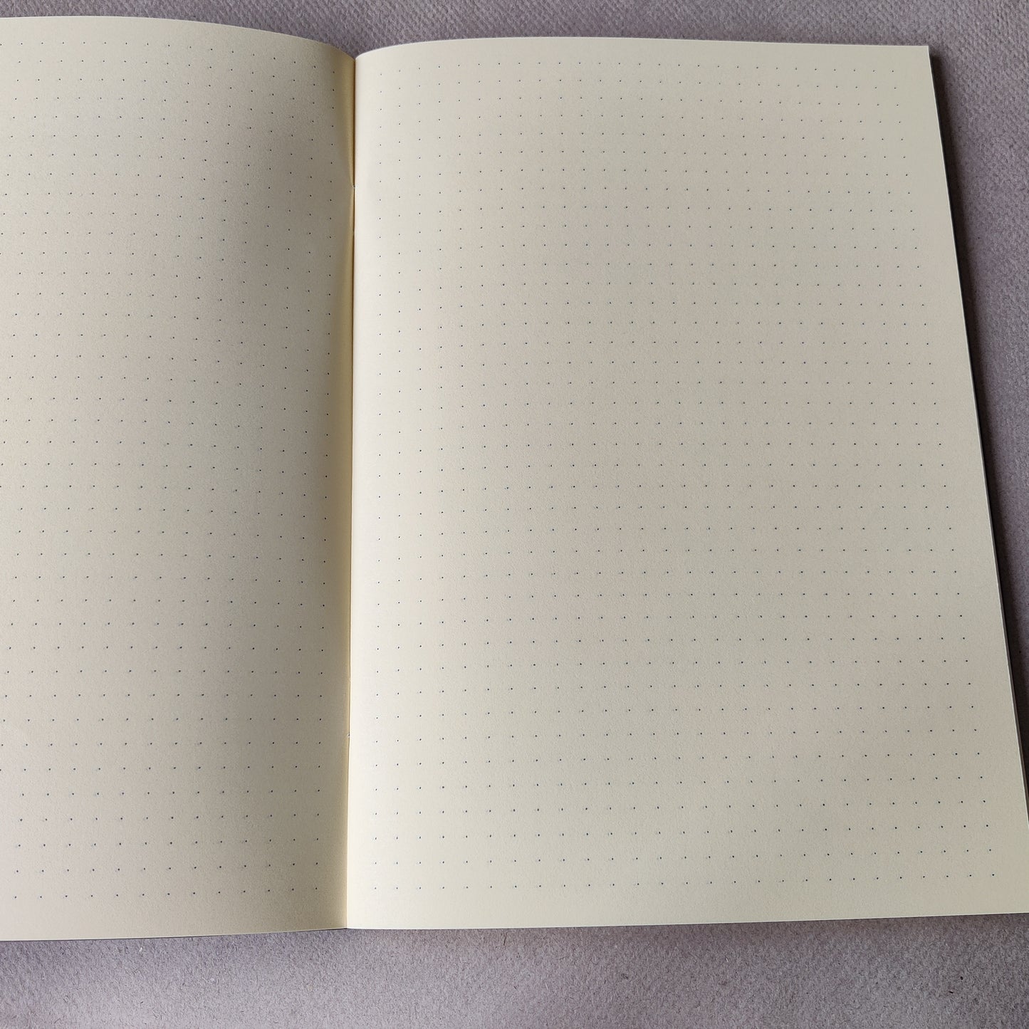 Schrift Zaansch bord | Dot Grid | 80 grams papier