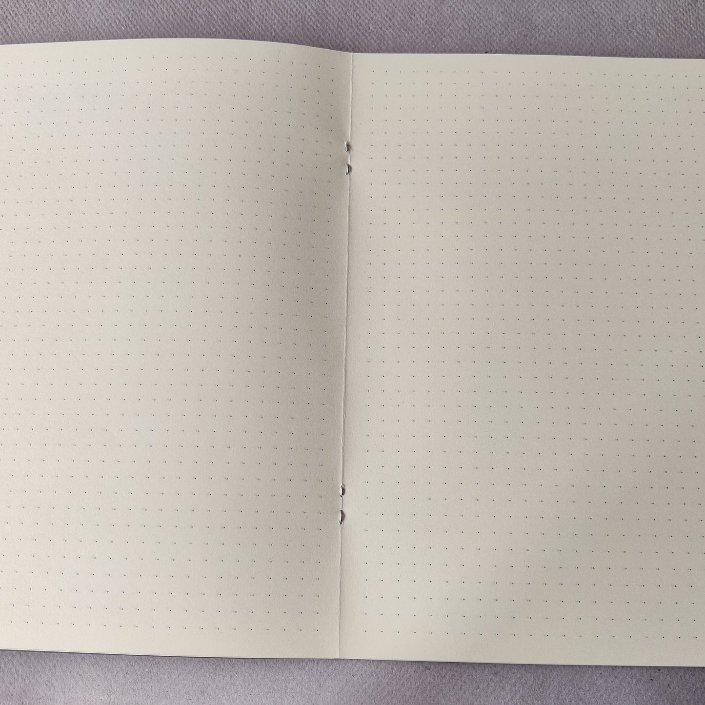 Schrift Zaansch bord | Dot Grid | 80 grams papier